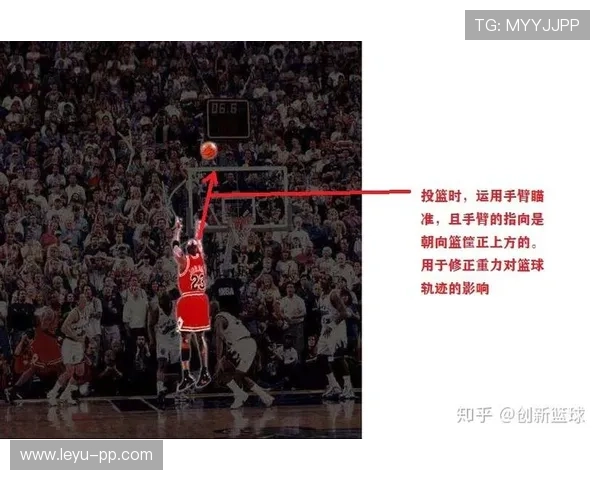 篮球规则中投篮动作判定的具体标准与执行依据的全面解析